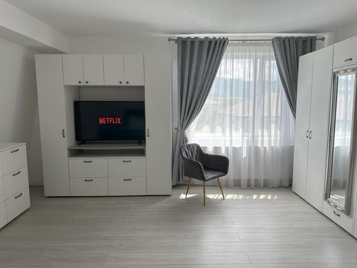 Elisio - Maple House Apartment Ghimbav Exterior photo
